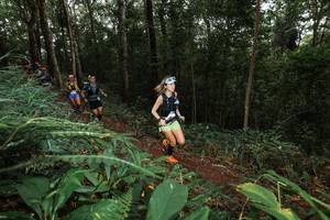 BIB: 
                            <button type="button" onclick="openModal(22538186)" class="btn btn-primary btn-sm float-right btn-popup" data-toggle="modal" data-target=".modal-high-quality">
                        <i class="fas fa-shopping-cart"></i> Add to Cart
                    </button>
                                            <button type="button" onclick="isThisMe(22538186, true)" class="btn btn-success btn-sm float-right btn-popup btn-isme hidden" data-toggle="tooltip" data-placement="bottom" title="นี่คือรูปของคุณใช่ไหม คลิกที่นี่เพื่อเอาเข้าอัลบั้ม">
                        <i class="fas fa-plus"></i> Add to album
                    </button>
                    <button type="button" onclick="isThisMe(22538186, false)" class="btn btn-warning btn-sm float-right btn-popup btn-isnotme hidden">
                        <i class="fas fa-ban"></i> Remove from album
                    </button>