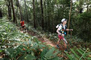 BIB: 
                            <button type="button" onclick="openModal(22545930)" class="btn btn-primary btn-sm float-right btn-popup" data-toggle="modal" data-target=".modal-high-quality">
                        <i class="fas fa-shopping-cart"></i> Add to Cart
                    </button>
                                            <button type="button" onclick="isThisMe(22545930, true)" class="btn btn-success btn-sm float-right btn-popup btn-isme hidden" data-toggle="tooltip" data-placement="bottom" title="นี่คือรูปของคุณใช่ไหม คลิกที่นี่เพื่อเอาเข้าอัลบั้ม">
                        <i class="fas fa-plus"></i> Add to album
                    </button>
                    <button type="button" onclick="isThisMe(22545930, false)" class="btn btn-warning btn-sm float-right btn-popup btn-isnotme hidden">
                        <i class="fas fa-ban"></i> Remove from album
                    </button>