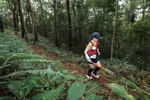 BIB: 
                            <button type="button" onclick="openModal(22541920)" class="btn btn-primary btn-sm float-right btn-popup" data-toggle="modal" data-target=".modal-high-quality">
                        <i class="fas fa-shopping-cart"></i> Add to Cart
                    </button>
                                            <button type="button" onclick="isThisMe(22541920, true)" class="btn btn-success btn-sm float-right btn-popup btn-isme hidden" data-toggle="tooltip" data-placement="bottom" title="นี่คือรูปของคุณใช่ไหม คลิกที่นี่เพื่อเอาเข้าอัลบั้ม">
                        <i class="fas fa-plus"></i> Add to album
                    </button>
                    <button type="button" onclick="isThisMe(22541920, false)" class="btn btn-warning btn-sm float-right btn-popup btn-isnotme hidden">
                        <i class="fas fa-ban"></i> Remove from album
                    </button>