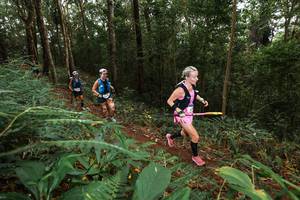 BIB: 
                            <button type="button" onclick="openModal(22534441)" class="btn btn-primary btn-sm float-right btn-popup" data-toggle="modal" data-target=".modal-high-quality">
                        <i class="fas fa-shopping-cart"></i> Add to Cart
                    </button>
                                            <button type="button" onclick="isThisMe(22534441, true)" class="btn btn-success btn-sm float-right btn-popup btn-isme hidden" data-toggle="tooltip" data-placement="bottom" title="นี่คือรูปของคุณใช่ไหม คลิกที่นี่เพื่อเอาเข้าอัลบั้ม">
                        <i class="fas fa-plus"></i> Add to album
                    </button>
                    <button type="button" onclick="isThisMe(22534441, false)" class="btn btn-warning btn-sm float-right btn-popup btn-isnotme hidden">
                        <i class="fas fa-ban"></i> Remove from album
                    </button>