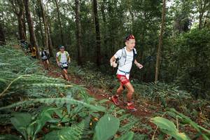 BIB: 
                            <button type="button" onclick="openModal(22535386)" class="btn btn-primary btn-sm float-right btn-popup" data-toggle="modal" data-target=".modal-high-quality">
                        <i class="fas fa-shopping-cart"></i> Add to Cart
                    </button>
                                            <button type="button" onclick="isThisMe(22535386, true)" class="btn btn-success btn-sm float-right btn-popup btn-isme hidden" data-toggle="tooltip" data-placement="bottom" title="นี่คือรูปของคุณใช่ไหม คลิกที่นี่เพื่อเอาเข้าอัลบั้ม">
                        <i class="fas fa-plus"></i> Add to album
                    </button>
                    <button type="button" onclick="isThisMe(22535386, false)" class="btn btn-warning btn-sm float-right btn-popup btn-isnotme hidden">
                        <i class="fas fa-ban"></i> Remove from album
                    </button>