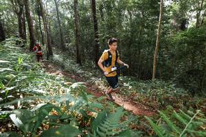 BIB: 
                            <button type="button" onclick="openModal(22545284)" class="btn btn-primary btn-sm float-right btn-popup" data-toggle="modal" data-target=".modal-high-quality">
                        <i class="fas fa-shopping-cart"></i> Add to Cart
                    </button>
                                            <button type="button" onclick="isThisMe(22545284, true)" class="btn btn-success btn-sm float-right btn-popup btn-isme hidden" data-toggle="tooltip" data-placement="bottom" title="นี่คือรูปของคุณใช่ไหม คลิกที่นี่เพื่อเอาเข้าอัลบั้ม">
                        <i class="fas fa-plus"></i> Add to album
                    </button>
                    <button type="button" onclick="isThisMe(22545284, false)" class="btn btn-warning btn-sm float-right btn-popup btn-isnotme hidden">
                        <i class="fas fa-ban"></i> Remove from album
                    </button>