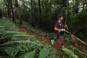 BIB: 
                            <button type="button" onclick="openModal(22533528)" class="btn btn-primary btn-sm float-right btn-popup" data-toggle="modal" data-target=".modal-high-quality">
                        <i class="fas fa-shopping-cart"></i> Add to Cart
                    </button>
                                            <button type="button" onclick="isThisMe(22533528, true)" class="btn btn-success btn-sm float-right btn-popup btn-isme hidden" data-toggle="tooltip" data-placement="bottom" title="นี่คือรูปของคุณใช่ไหม คลิกที่นี่เพื่อเอาเข้าอัลบั้ม">
                        <i class="fas fa-plus"></i> Add to album
                    </button>
                    <button type="button" onclick="isThisMe(22533528, false)" class="btn btn-warning btn-sm float-right btn-popup btn-isnotme hidden">
                        <i class="fas fa-ban"></i> Remove from album
                    </button>