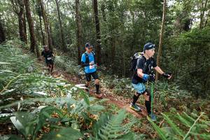 BIB: 
                            <button type="button" onclick="openModal(22545126)" class="btn btn-primary btn-sm float-right btn-popup" data-toggle="modal" data-target=".modal-high-quality">
                        <i class="fas fa-shopping-cart"></i> Add to Cart
                    </button>
                                            <button type="button" onclick="isThisMe(22545126, true)" class="btn btn-success btn-sm float-right btn-popup btn-isme hidden" data-toggle="tooltip" data-placement="bottom" title="นี่คือรูปของคุณใช่ไหม คลิกที่นี่เพื่อเอาเข้าอัลบั้ม">
                        <i class="fas fa-plus"></i> Add to album
                    </button>
                    <button type="button" onclick="isThisMe(22545126, false)" class="btn btn-warning btn-sm float-right btn-popup btn-isnotme hidden">
                        <i class="fas fa-ban"></i> Remove from album
                    </button>