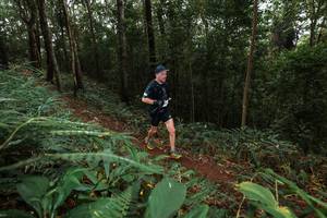 BIB: 
                            <button type="button" onclick="openModal(22533044)" class="btn btn-primary btn-sm float-right btn-popup" data-toggle="modal" data-target=".modal-high-quality">
                        <i class="fas fa-shopping-cart"></i> Add to Cart
                    </button>
                                            <button type="button" onclick="isThisMe(22533044, true)" class="btn btn-success btn-sm float-right btn-popup btn-isme hidden" data-toggle="tooltip" data-placement="bottom" title="นี่คือรูปของคุณใช่ไหม คลิกที่นี่เพื่อเอาเข้าอัลบั้ม">
                        <i class="fas fa-plus"></i> Add to album
                    </button>
                    <button type="button" onclick="isThisMe(22533044, false)" class="btn btn-warning btn-sm float-right btn-popup btn-isnotme hidden">
                        <i class="fas fa-ban"></i> Remove from album
                    </button>