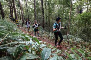 BIB: 
                            <button type="button" onclick="openModal(22565280)" class="btn btn-primary btn-sm float-right btn-popup" data-toggle="modal" data-target=".modal-high-quality">
                        <i class="fas fa-shopping-cart"></i> Add to Cart
                    </button>
                                            <button type="button" onclick="isThisMe(22565280, true)" class="btn btn-success btn-sm float-right btn-popup btn-isme hidden" data-toggle="tooltip" data-placement="bottom" title="นี่คือรูปของคุณใช่ไหม คลิกที่นี่เพื่อเอาเข้าอัลบั้ม">
                        <i class="fas fa-plus"></i> Add to album
                    </button>
                    <button type="button" onclick="isThisMe(22565280, false)" class="btn btn-warning btn-sm float-right btn-popup btn-isnotme hidden">
                        <i class="fas fa-ban"></i> Remove from album
                    </button>