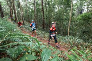 BIB: 
                            <button type="button" onclick="openModal(22574766)" class="btn btn-primary btn-sm float-right btn-popup" data-toggle="modal" data-target=".modal-high-quality">
                        <i class="fas fa-shopping-cart"></i> Add to Cart
                    </button>
                                            <button type="button" onclick="isThisMe(22574766, true)" class="btn btn-success btn-sm float-right btn-popup btn-isme hidden" data-toggle="tooltip" data-placement="bottom" title="นี่คือรูปของคุณใช่ไหม คลิกที่นี่เพื่อเอาเข้าอัลบั้ม">
                        <i class="fas fa-plus"></i> Add to album
                    </button>
                    <button type="button" onclick="isThisMe(22574766, false)" class="btn btn-warning btn-sm float-right btn-popup btn-isnotme hidden">
                        <i class="fas fa-ban"></i> Remove from album
                    </button>