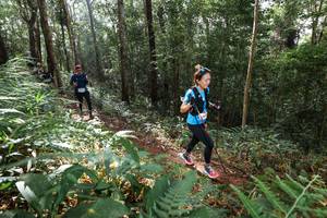 BIB: 
                            <button type="button" onclick="openModal(22545367)" class="btn btn-primary btn-sm float-right btn-popup" data-toggle="modal" data-target=".modal-high-quality">
                        <i class="fas fa-shopping-cart"></i> Add to Cart
                    </button>
                                            <button type="button" onclick="isThisMe(22545367, true)" class="btn btn-success btn-sm float-right btn-popup btn-isme hidden" data-toggle="tooltip" data-placement="bottom" title="นี่คือรูปของคุณใช่ไหม คลิกที่นี่เพื่อเอาเข้าอัลบั้ม">
                        <i class="fas fa-plus"></i> Add to album
                    </button>
                    <button type="button" onclick="isThisMe(22545367, false)" class="btn btn-warning btn-sm float-right btn-popup btn-isnotme hidden">
                        <i class="fas fa-ban"></i> Remove from album
                    </button>