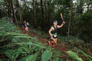 BIB: 
                            <button type="button" onclick="openModal(22538369)" class="btn btn-primary btn-sm float-right btn-popup" data-toggle="modal" data-target=".modal-high-quality">
                        <i class="fas fa-shopping-cart"></i> Add to Cart
                    </button>
                                            <button type="button" onclick="isThisMe(22538369, true)" class="btn btn-success btn-sm float-right btn-popup btn-isme hidden" data-toggle="tooltip" data-placement="bottom" title="นี่คือรูปของคุณใช่ไหม คลิกที่นี่เพื่อเอาเข้าอัลบั้ม">
                        <i class="fas fa-plus"></i> Add to album
                    </button>
                    <button type="button" onclick="isThisMe(22538369, false)" class="btn btn-warning btn-sm float-right btn-popup btn-isnotme hidden">
                        <i class="fas fa-ban"></i> Remove from album
                    </button>