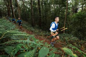 BIB: 
                            <button type="button" onclick="openModal(22533367)" class="btn btn-primary btn-sm float-right btn-popup" data-toggle="modal" data-target=".modal-high-quality">
                        <i class="fas fa-shopping-cart"></i> Add to Cart
                    </button>
                                            <button type="button" onclick="isThisMe(22533367, true)" class="btn btn-success btn-sm float-right btn-popup btn-isme hidden" data-toggle="tooltip" data-placement="bottom" title="นี่คือรูปของคุณใช่ไหม คลิกที่นี่เพื่อเอาเข้าอัลบั้ม">
                        <i class="fas fa-plus"></i> Add to album
                    </button>
                    <button type="button" onclick="isThisMe(22533367, false)" class="btn btn-warning btn-sm float-right btn-popup btn-isnotme hidden">
                        <i class="fas fa-ban"></i> Remove from album
                    </button>