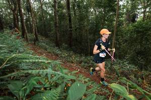 BIB: 
                            <button type="button" onclick="openModal(22534159)" class="btn btn-primary btn-sm float-right btn-popup" data-toggle="modal" data-target=".modal-high-quality">
                        <i class="fas fa-shopping-cart"></i> Add to Cart
                    </button>
                                            <button type="button" onclick="isThisMe(22534159, true)" class="btn btn-success btn-sm float-right btn-popup btn-isme hidden" data-toggle="tooltip" data-placement="bottom" title="นี่คือรูปของคุณใช่ไหม คลิกที่นี่เพื่อเอาเข้าอัลบั้ม">
                        <i class="fas fa-plus"></i> Add to album
                    </button>
                    <button type="button" onclick="isThisMe(22534159, false)" class="btn btn-warning btn-sm float-right btn-popup btn-isnotme hidden">
                        <i class="fas fa-ban"></i> Remove from album
                    </button>