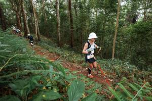 BIB: 
                            <button type="button" onclick="openModal(22570524)" class="btn btn-primary btn-sm float-right btn-popup" data-toggle="modal" data-target=".modal-high-quality">
                        <i class="fas fa-shopping-cart"></i> Add to Cart
                    </button>
                                            <button type="button" onclick="isThisMe(22570524, true)" class="btn btn-success btn-sm float-right btn-popup btn-isme hidden" data-toggle="tooltip" data-placement="bottom" title="นี่คือรูปของคุณใช่ไหม คลิกที่นี่เพื่อเอาเข้าอัลบั้ม">
                        <i class="fas fa-plus"></i> Add to album
                    </button>
                    <button type="button" onclick="isThisMe(22570524, false)" class="btn btn-warning btn-sm float-right btn-popup btn-isnotme hidden">
                        <i class="fas fa-ban"></i> Remove from album
                    </button>