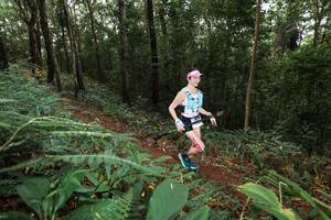 BIB: 
                            <button type="button" onclick="openModal(22538881)" class="btn btn-primary btn-sm float-right btn-popup" data-toggle="modal" data-target=".modal-high-quality">
                        <i class="fas fa-shopping-cart"></i> Add to Cart
                    </button>
                                            <button type="button" onclick="isThisMe(22538881, true)" class="btn btn-success btn-sm float-right btn-popup btn-isme hidden" data-toggle="tooltip" data-placement="bottom" title="นี่คือรูปของคุณใช่ไหม คลิกที่นี่เพื่อเอาเข้าอัลบั้ม">
                        <i class="fas fa-plus"></i> Add to album
                    </button>
                    <button type="button" onclick="isThisMe(22538881, false)" class="btn btn-warning btn-sm float-right btn-popup btn-isnotme hidden">
                        <i class="fas fa-ban"></i> Remove from album
                    </button>