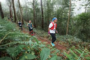 BIB: 
                            <button type="button" onclick="openModal(22572378)" class="btn btn-primary btn-sm float-right btn-popup" data-toggle="modal" data-target=".modal-high-quality">
                        <i class="fas fa-shopping-cart"></i> Add to Cart
                    </button>
                                            <button type="button" onclick="isThisMe(22572378, true)" class="btn btn-success btn-sm float-right btn-popup btn-isme hidden" data-toggle="tooltip" data-placement="bottom" title="นี่คือรูปของคุณใช่ไหม คลิกที่นี่เพื่อเอาเข้าอัลบั้ม">
                        <i class="fas fa-plus"></i> Add to album
                    </button>
                    <button type="button" onclick="isThisMe(22572378, false)" class="btn btn-warning btn-sm float-right btn-popup btn-isnotme hidden">
                        <i class="fas fa-ban"></i> Remove from album
                    </button>