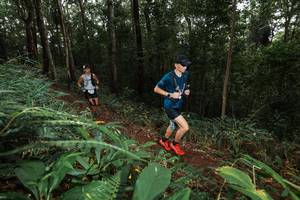 BIB: 
                            <button type="button" onclick="openModal(22538146)" class="btn btn-primary btn-sm float-right btn-popup" data-toggle="modal" data-target=".modal-high-quality">
                        <i class="fas fa-shopping-cart"></i> Add to Cart
                    </button>
                                            <button type="button" onclick="isThisMe(22538146, true)" class="btn btn-success btn-sm float-right btn-popup btn-isme hidden" data-toggle="tooltip" data-placement="bottom" title="นี่คือรูปของคุณใช่ไหม คลิกที่นี่เพื่อเอาเข้าอัลบั้ม">
                        <i class="fas fa-plus"></i> Add to album
                    </button>
                    <button type="button" onclick="isThisMe(22538146, false)" class="btn btn-warning btn-sm float-right btn-popup btn-isnotme hidden">
                        <i class="fas fa-ban"></i> Remove from album
                    </button>