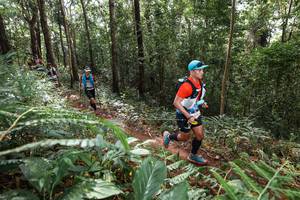 BIB: 
                            <button type="button" onclick="openModal(22564036)" class="btn btn-primary btn-sm float-right btn-popup" data-toggle="modal" data-target=".modal-high-quality">
                        <i class="fas fa-shopping-cart"></i> Add to Cart
                    </button>
                                            <button type="button" onclick="isThisMe(22564036, true)" class="btn btn-success btn-sm float-right btn-popup btn-isme hidden" data-toggle="tooltip" data-placement="bottom" title="นี่คือรูปของคุณใช่ไหม คลิกที่นี่เพื่อเอาเข้าอัลบั้ม">
                        <i class="fas fa-plus"></i> Add to album
                    </button>
                    <button type="button" onclick="isThisMe(22564036, false)" class="btn btn-warning btn-sm float-right btn-popup btn-isnotme hidden">
                        <i class="fas fa-ban"></i> Remove from album
                    </button>