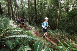 BIB: 
                            <button type="button" onclick="openModal(22547428)" class="btn btn-primary btn-sm float-right btn-popup" data-toggle="modal" data-target=".modal-high-quality">
                        <i class="fas fa-shopping-cart"></i> Add to Cart
                    </button>
                                            <button type="button" onclick="isThisMe(22547428, true)" class="btn btn-success btn-sm float-right btn-popup btn-isme hidden" data-toggle="tooltip" data-placement="bottom" title="นี่คือรูปของคุณใช่ไหม คลิกที่นี่เพื่อเอาเข้าอัลบั้ม">
                        <i class="fas fa-plus"></i> Add to album
                    </button>
                    <button type="button" onclick="isThisMe(22547428, false)" class="btn btn-warning btn-sm float-right btn-popup btn-isnotme hidden">
                        <i class="fas fa-ban"></i> Remove from album
                    </button>