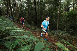 BIB: 
                            <button type="button" onclick="openModal(22536189)" class="btn btn-primary btn-sm float-right btn-popup" data-toggle="modal" data-target=".modal-high-quality">
                        <i class="fas fa-shopping-cart"></i> Add to Cart
                    </button>
                                            <button type="button" onclick="isThisMe(22536189, true)" class="btn btn-success btn-sm float-right btn-popup btn-isme hidden" data-toggle="tooltip" data-placement="bottom" title="นี่คือรูปของคุณใช่ไหม คลิกที่นี่เพื่อเอาเข้าอัลบั้ม">
                        <i class="fas fa-plus"></i> Add to album
                    </button>
                    <button type="button" onclick="isThisMe(22536189, false)" class="btn btn-warning btn-sm float-right btn-popup btn-isnotme hidden">
                        <i class="fas fa-ban"></i> Remove from album
                    </button>