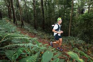 BIB: 
                            <button type="button" onclick="openModal(22532949)" class="btn btn-primary btn-sm float-right btn-popup" data-toggle="modal" data-target=".modal-high-quality">
                        <i class="fas fa-shopping-cart"></i> Add to Cart
                    </button>
                                            <button type="button" onclick="isThisMe(22532949, true)" class="btn btn-success btn-sm float-right btn-popup btn-isme hidden" data-toggle="tooltip" data-placement="bottom" title="นี่คือรูปของคุณใช่ไหม คลิกที่นี่เพื่อเอาเข้าอัลบั้ม">
                        <i class="fas fa-plus"></i> Add to album
                    </button>
                    <button type="button" onclick="isThisMe(22532949, false)" class="btn btn-warning btn-sm float-right btn-popup btn-isnotme hidden">
                        <i class="fas fa-ban"></i> Remove from album
                    </button>