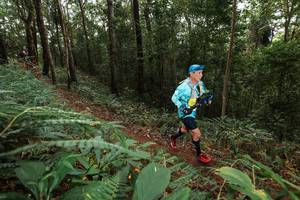 BIB: 
                            <button type="button" onclick="openModal(22536984)" class="btn btn-primary btn-sm float-right btn-popup" data-toggle="modal" data-target=".modal-high-quality">
                        <i class="fas fa-shopping-cart"></i> Add to Cart
                    </button>
                                            <button type="button" onclick="isThisMe(22536984, true)" class="btn btn-success btn-sm float-right btn-popup btn-isme hidden" data-toggle="tooltip" data-placement="bottom" title="นี่คือรูปของคุณใช่ไหม คลิกที่นี่เพื่อเอาเข้าอัลบั้ม">
                        <i class="fas fa-plus"></i> Add to album
                    </button>
                    <button type="button" onclick="isThisMe(22536984, false)" class="btn btn-warning btn-sm float-right btn-popup btn-isnotme hidden">
                        <i class="fas fa-ban"></i> Remove from album
                    </button>