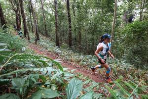 BIB: 
                            <button type="button" onclick="openModal(22567310)" class="btn btn-primary btn-sm float-right btn-popup" data-toggle="modal" data-target=".modal-high-quality">
                        <i class="fas fa-shopping-cart"></i> Add to Cart
                    </button>
                                            <button type="button" onclick="isThisMe(22567310, true)" class="btn btn-success btn-sm float-right btn-popup btn-isme hidden" data-toggle="tooltip" data-placement="bottom" title="นี่คือรูปของคุณใช่ไหม คลิกที่นี่เพื่อเอาเข้าอัลบั้ม">
                        <i class="fas fa-plus"></i> Add to album
                    </button>
                    <button type="button" onclick="isThisMe(22567310, false)" class="btn btn-warning btn-sm float-right btn-popup btn-isnotme hidden">
                        <i class="fas fa-ban"></i> Remove from album
                    </button>