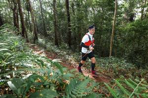 BIB: 
                            <button type="button" onclick="openModal(22545579)" class="btn btn-primary btn-sm float-right btn-popup" data-toggle="modal" data-target=".modal-high-quality">
                        <i class="fas fa-shopping-cart"></i> Add to Cart
                    </button>
                                            <button type="button" onclick="isThisMe(22545579, true)" class="btn btn-success btn-sm float-right btn-popup btn-isme hidden" data-toggle="tooltip" data-placement="bottom" title="นี่คือรูปของคุณใช่ไหม คลิกที่นี่เพื่อเอาเข้าอัลบั้ม">
                        <i class="fas fa-plus"></i> Add to album
                    </button>
                    <button type="button" onclick="isThisMe(22545579, false)" class="btn btn-warning btn-sm float-right btn-popup btn-isnotme hidden">
                        <i class="fas fa-ban"></i> Remove from album
                    </button>