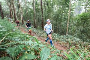 BIB: 
                            <button type="button" onclick="openModal(22574084)" class="btn btn-primary btn-sm float-right btn-popup" data-toggle="modal" data-target=".modal-high-quality">
                        <i class="fas fa-shopping-cart"></i> Add to Cart
                    </button>
                                            <button type="button" onclick="isThisMe(22574084, true)" class="btn btn-success btn-sm float-right btn-popup btn-isme hidden" data-toggle="tooltip" data-placement="bottom" title="นี่คือรูปของคุณใช่ไหม คลิกที่นี่เพื่อเอาเข้าอัลบั้ม">
                        <i class="fas fa-plus"></i> Add to album
                    </button>
                    <button type="button" onclick="isThisMe(22574084, false)" class="btn btn-warning btn-sm float-right btn-popup btn-isnotme hidden">
                        <i class="fas fa-ban"></i> Remove from album
                    </button>