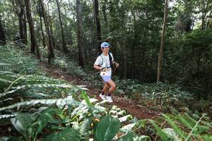 BIB: 
                            <button type="button" onclick="openModal(22543781)" class="btn btn-primary btn-sm float-right btn-popup" data-toggle="modal" data-target=".modal-high-quality">
                        <i class="fas fa-shopping-cart"></i> Add to Cart
                    </button>
                                            <button type="button" onclick="isThisMe(22543781, true)" class="btn btn-success btn-sm float-right btn-popup btn-isme hidden" data-toggle="tooltip" data-placement="bottom" title="นี่คือรูปของคุณใช่ไหม คลิกที่นี่เพื่อเอาเข้าอัลบั้ม">
                        <i class="fas fa-plus"></i> Add to album
                    </button>
                    <button type="button" onclick="isThisMe(22543781, false)" class="btn btn-warning btn-sm float-right btn-popup btn-isnotme hidden">
                        <i class="fas fa-ban"></i> Remove from album
                    </button>