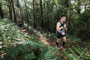 BIB: 
                            <button type="button" onclick="openModal(22546585)" class="btn btn-primary btn-sm float-right btn-popup" data-toggle="modal" data-target=".modal-high-quality">
                        <i class="fas fa-shopping-cart"></i> Add to Cart
                    </button>
                                            <button type="button" onclick="isThisMe(22546585, true)" class="btn btn-success btn-sm float-right btn-popup btn-isme hidden" data-toggle="tooltip" data-placement="bottom" title="นี่คือรูปของคุณใช่ไหม คลิกที่นี่เพื่อเอาเข้าอัลบั้ม">
                        <i class="fas fa-plus"></i> Add to album
                    </button>
                    <button type="button" onclick="isThisMe(22546585, false)" class="btn btn-warning btn-sm float-right btn-popup btn-isnotme hidden">
                        <i class="fas fa-ban"></i> Remove from album
                    </button>