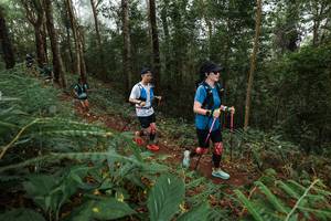 BIB: 
                            <button type="button" onclick="openModal(22571429)" class="btn btn-primary btn-sm float-right btn-popup" data-toggle="modal" data-target=".modal-high-quality">
                        <i class="fas fa-shopping-cart"></i> Add to Cart
                    </button>
                                            <button type="button" onclick="isThisMe(22571429, true)" class="btn btn-success btn-sm float-right btn-popup btn-isme hidden" data-toggle="tooltip" data-placement="bottom" title="นี่คือรูปของคุณใช่ไหม คลิกที่นี่เพื่อเอาเข้าอัลบั้ม">
                        <i class="fas fa-plus"></i> Add to album
                    </button>
                    <button type="button" onclick="isThisMe(22571429, false)" class="btn btn-warning btn-sm float-right btn-popup btn-isnotme hidden">
                        <i class="fas fa-ban"></i> Remove from album
                    </button>