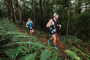 BIB: 
                            <button type="button" onclick="openModal(22533758)" class="btn btn-primary btn-sm float-right btn-popup" data-toggle="modal" data-target=".modal-high-quality">
                        <i class="fas fa-shopping-cart"></i> Add to Cart
                    </button>
                                            <button type="button" onclick="isThisMe(22533758, true)" class="btn btn-success btn-sm float-right btn-popup btn-isme hidden" data-toggle="tooltip" data-placement="bottom" title="นี่คือรูปของคุณใช่ไหม คลิกที่นี่เพื่อเอาเข้าอัลบั้ม">
                        <i class="fas fa-plus"></i> Add to album
                    </button>
                    <button type="button" onclick="isThisMe(22533758, false)" class="btn btn-warning btn-sm float-right btn-popup btn-isnotme hidden">
                        <i class="fas fa-ban"></i> Remove from album
                    </button>