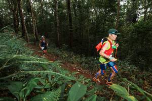 BIB: 
                            <button type="button" onclick="openModal(22533318)" class="btn btn-primary btn-sm float-right btn-popup" data-toggle="modal" data-target=".modal-high-quality">
                        <i class="fas fa-shopping-cart"></i> Add to Cart
                    </button>
                                            <button type="button" onclick="isThisMe(22533318, true)" class="btn btn-success btn-sm float-right btn-popup btn-isme hidden" data-toggle="tooltip" data-placement="bottom" title="นี่คือรูปของคุณใช่ไหม คลิกที่นี่เพื่อเอาเข้าอัลบั้ม">
                        <i class="fas fa-plus"></i> Add to album
                    </button>
                    <button type="button" onclick="isThisMe(22533318, false)" class="btn btn-warning btn-sm float-right btn-popup btn-isnotme hidden">
                        <i class="fas fa-ban"></i> Remove from album
                    </button>