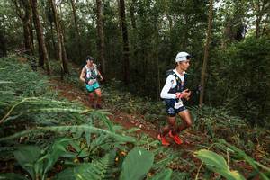 BIB: 
                            <button type="button" onclick="openModal(22533951)" class="btn btn-primary btn-sm float-right btn-popup" data-toggle="modal" data-target=".modal-high-quality">
                        <i class="fas fa-shopping-cart"></i> Add to Cart
                    </button>
                                            <button type="button" onclick="isThisMe(22533951, true)" class="btn btn-success btn-sm float-right btn-popup btn-isme hidden" data-toggle="tooltip" data-placement="bottom" title="นี่คือรูปของคุณใช่ไหม คลิกที่นี่เพื่อเอาเข้าอัลบั้ม">
                        <i class="fas fa-plus"></i> Add to album
                    </button>
                    <button type="button" onclick="isThisMe(22533951, false)" class="btn btn-warning btn-sm float-right btn-popup btn-isnotme hidden">
                        <i class="fas fa-ban"></i> Remove from album
                    </button>