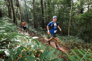 BIB: 
                            <button type="button" onclick="openModal(22545062)" class="btn btn-primary btn-sm float-right btn-popup" data-toggle="modal" data-target=".modal-high-quality">
                        <i class="fas fa-shopping-cart"></i> Add to Cart
                    </button>
                                            <button type="button" onclick="isThisMe(22545062, true)" class="btn btn-success btn-sm float-right btn-popup btn-isme hidden" data-toggle="tooltip" data-placement="bottom" title="นี่คือรูปของคุณใช่ไหม คลิกที่นี่เพื่อเอาเข้าอัลบั้ม">
                        <i class="fas fa-plus"></i> Add to album
                    </button>
                    <button type="button" onclick="isThisMe(22545062, false)" class="btn btn-warning btn-sm float-right btn-popup btn-isnotme hidden">
                        <i class="fas fa-ban"></i> Remove from album
                    </button>