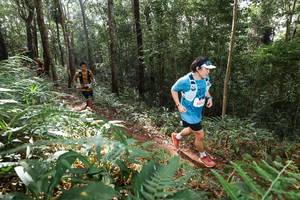 BIB: 
                            <button type="button" onclick="openModal(22545279)" class="btn btn-primary btn-sm float-right btn-popup" data-toggle="modal" data-target=".modal-high-quality">
                        <i class="fas fa-shopping-cart"></i> Add to Cart
                    </button>
                                            <button type="button" onclick="isThisMe(22545279, true)" class="btn btn-success btn-sm float-right btn-popup btn-isme hidden" data-toggle="tooltip" data-placement="bottom" title="นี่คือรูปของคุณใช่ไหม คลิกที่นี่เพื่อเอาเข้าอัลบั้ม">
                        <i class="fas fa-plus"></i> Add to album
                    </button>
                    <button type="button" onclick="isThisMe(22545279, false)" class="btn btn-warning btn-sm float-right btn-popup btn-isnotme hidden">
                        <i class="fas fa-ban"></i> Remove from album
                    </button>