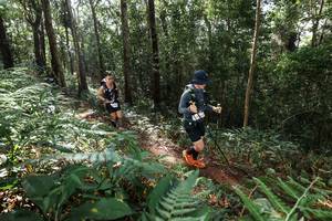 BIB: 
                            <button type="button" onclick="openModal(22546567)" class="btn btn-primary btn-sm float-right btn-popup" data-toggle="modal" data-target=".modal-high-quality">
                        <i class="fas fa-shopping-cart"></i> Add to Cart
                    </button>
                                            <button type="button" onclick="isThisMe(22546567, true)" class="btn btn-success btn-sm float-right btn-popup btn-isme hidden" data-toggle="tooltip" data-placement="bottom" title="นี่คือรูปของคุณใช่ไหม คลิกที่นี่เพื่อเอาเข้าอัลบั้ม">
                        <i class="fas fa-plus"></i> Add to album
                    </button>
                    <button type="button" onclick="isThisMe(22546567, false)" class="btn btn-warning btn-sm float-right btn-popup btn-isnotme hidden">
                        <i class="fas fa-ban"></i> Remove from album
                    </button>