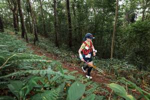 BIB: 
                            <button type="button" onclick="openModal(22541907)" class="btn btn-primary btn-sm float-right btn-popup" data-toggle="modal" data-target=".modal-high-quality">
                        <i class="fas fa-shopping-cart"></i> Add to Cart
                    </button>
                                            <button type="button" onclick="isThisMe(22541907, true)" class="btn btn-success btn-sm float-right btn-popup btn-isme hidden" data-toggle="tooltip" data-placement="bottom" title="นี่คือรูปของคุณใช่ไหม คลิกที่นี่เพื่อเอาเข้าอัลบั้ม">
                        <i class="fas fa-plus"></i> Add to album
                    </button>
                    <button type="button" onclick="isThisMe(22541907, false)" class="btn btn-warning btn-sm float-right btn-popup btn-isnotme hidden">
                        <i class="fas fa-ban"></i> Remove from album
                    </button>