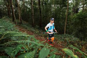 BIB: 
                            <button type="button" onclick="openModal(22533899)" class="btn btn-primary btn-sm float-right btn-popup" data-toggle="modal" data-target=".modal-high-quality">
                        <i class="fas fa-shopping-cart"></i> Add to Cart
                    </button>
                                            <button type="button" onclick="isThisMe(22533899, true)" class="btn btn-success btn-sm float-right btn-popup btn-isme hidden" data-toggle="tooltip" data-placement="bottom" title="นี่คือรูปของคุณใช่ไหม คลิกที่นี่เพื่อเอาเข้าอัลบั้ม">
                        <i class="fas fa-plus"></i> Add to album
                    </button>
                    <button type="button" onclick="isThisMe(22533899, false)" class="btn btn-warning btn-sm float-right btn-popup btn-isnotme hidden">
                        <i class="fas fa-ban"></i> Remove from album
                    </button>