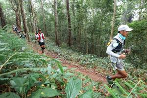 BIB: 
                            <button type="button" onclick="openModal(22574425)" class="btn btn-primary btn-sm float-right btn-popup" data-toggle="modal" data-target=".modal-high-quality">
                        <i class="fas fa-shopping-cart"></i> Add to Cart
                    </button>
                                            <button type="button" onclick="isThisMe(22574425, true)" class="btn btn-success btn-sm float-right btn-popup btn-isme hidden" data-toggle="tooltip" data-placement="bottom" title="นี่คือรูปของคุณใช่ไหม คลิกที่นี่เพื่อเอาเข้าอัลบั้ม">
                        <i class="fas fa-plus"></i> Add to album
                    </button>
                    <button type="button" onclick="isThisMe(22574425, false)" class="btn btn-warning btn-sm float-right btn-popup btn-isnotme hidden">
                        <i class="fas fa-ban"></i> Remove from album
                    </button>