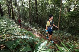 BIB: 
                            <button type="button" onclick="openModal(22546956)" class="btn btn-primary btn-sm float-right btn-popup" data-toggle="modal" data-target=".modal-high-quality">
                        <i class="fas fa-shopping-cart"></i> Add to Cart
                    </button>
                                            <button type="button" onclick="isThisMe(22546956, true)" class="btn btn-success btn-sm float-right btn-popup btn-isme hidden" data-toggle="tooltip" data-placement="bottom" title="นี่คือรูปของคุณใช่ไหม คลิกที่นี่เพื่อเอาเข้าอัลบั้ม">
                        <i class="fas fa-plus"></i> Add to album
                    </button>
                    <button type="button" onclick="isThisMe(22546956, false)" class="btn btn-warning btn-sm float-right btn-popup btn-isnotme hidden">
                        <i class="fas fa-ban"></i> Remove from album
                    </button>