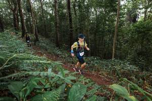 BIB: 200
                            <button type="button" onclick="openModal(22542782)" class="btn btn-primary btn-sm float-right btn-popup" data-toggle="modal" data-target=".modal-high-quality">
                        <i class="fas fa-shopping-cart"></i> Add to Cart
                    </button>
                                            <button type="button" onclick="isThisMe(22542782, true)" class="btn btn-success btn-sm float-right btn-popup btn-isme hidden" data-toggle="tooltip" data-placement="bottom" title="นี่คือรูปของคุณใช่ไหม คลิกที่นี่เพื่อเอาเข้าอัลบั้ม">
                        <i class="fas fa-plus"></i> Add to album
                    </button>
                    <button type="button" onclick="isThisMe(22542782, false)" class="btn btn-warning btn-sm float-right btn-popup btn-isnotme hidden">
                        <i class="fas fa-ban"></i> Remove from album
                    </button>