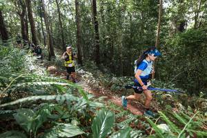 BIB: 
                            <button type="button" onclick="openModal(22563221)" class="btn btn-primary btn-sm float-right btn-popup" data-toggle="modal" data-target=".modal-high-quality">
                        <i class="fas fa-shopping-cart"></i> Add to Cart
                    </button>
                                            <button type="button" onclick="isThisMe(22563221, true)" class="btn btn-success btn-sm float-right btn-popup btn-isme hidden" data-toggle="tooltip" data-placement="bottom" title="นี่คือรูปของคุณใช่ไหม คลิกที่นี่เพื่อเอาเข้าอัลบั้ม">
                        <i class="fas fa-plus"></i> Add to album
                    </button>
                    <button type="button" onclick="isThisMe(22563221, false)" class="btn btn-warning btn-sm float-right btn-popup btn-isnotme hidden">
                        <i class="fas fa-ban"></i> Remove from album
                    </button>