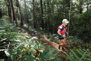 BIB: 
                            <button type="button" onclick="openModal(22544828)" class="btn btn-primary btn-sm float-right btn-popup" data-toggle="modal" data-target=".modal-high-quality">
                        <i class="fas fa-shopping-cart"></i> Add to Cart
                    </button>
                                            <button type="button" onclick="isThisMe(22544828, true)" class="btn btn-success btn-sm float-right btn-popup btn-isme hidden" data-toggle="tooltip" data-placement="bottom" title="นี่คือรูปของคุณใช่ไหม คลิกที่นี่เพื่อเอาเข้าอัลบั้ม">
                        <i class="fas fa-plus"></i> Add to album
                    </button>
                    <button type="button" onclick="isThisMe(22544828, false)" class="btn btn-warning btn-sm float-right btn-popup btn-isnotme hidden">
                        <i class="fas fa-ban"></i> Remove from album
                    </button>