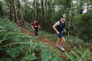 BIB: 
                            <button type="button" onclick="openModal(22573381)" class="btn btn-primary btn-sm float-right btn-popup" data-toggle="modal" data-target=".modal-high-quality">
                        <i class="fas fa-shopping-cart"></i> Add to Cart
                    </button>
                                            <button type="button" onclick="isThisMe(22573381, true)" class="btn btn-success btn-sm float-right btn-popup btn-isme hidden" data-toggle="tooltip" data-placement="bottom" title="นี่คือรูปของคุณใช่ไหม คลิกที่นี่เพื่อเอาเข้าอัลบั้ม">
                        <i class="fas fa-plus"></i> Add to album
                    </button>
                    <button type="button" onclick="isThisMe(22573381, false)" class="btn btn-warning btn-sm float-right btn-popup btn-isnotme hidden">
                        <i class="fas fa-ban"></i> Remove from album
                    </button>