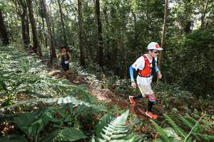 BIB: 
                            <button type="button" onclick="openModal(22546933)" class="btn btn-primary btn-sm float-right btn-popup" data-toggle="modal" data-target=".modal-high-quality">
                        <i class="fas fa-shopping-cart"></i> Add to Cart
                    </button>
                                            <button type="button" onclick="isThisMe(22546933, true)" class="btn btn-success btn-sm float-right btn-popup btn-isme hidden" data-toggle="tooltip" data-placement="bottom" title="นี่คือรูปของคุณใช่ไหม คลิกที่นี่เพื่อเอาเข้าอัลบั้ม">
                        <i class="fas fa-plus"></i> Add to album
                    </button>
                    <button type="button" onclick="isThisMe(22546933, false)" class="btn btn-warning btn-sm float-right btn-popup btn-isnotme hidden">
                        <i class="fas fa-ban"></i> Remove from album
                    </button>