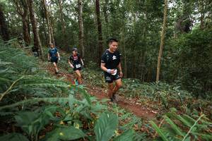 BIB: 
                            <button type="button" onclick="openModal(22568549)" class="btn btn-primary btn-sm float-right btn-popup" data-toggle="modal" data-target=".modal-high-quality">
                        <i class="fas fa-shopping-cart"></i> Add to Cart
                    </button>
                                            <button type="button" onclick="isThisMe(22568549, true)" class="btn btn-success btn-sm float-right btn-popup btn-isme hidden" data-toggle="tooltip" data-placement="bottom" title="นี่คือรูปของคุณใช่ไหม คลิกที่นี่เพื่อเอาเข้าอัลบั้ม">
                        <i class="fas fa-plus"></i> Add to album
                    </button>
                    <button type="button" onclick="isThisMe(22568549, false)" class="btn btn-warning btn-sm float-right btn-popup btn-isnotme hidden">
                        <i class="fas fa-ban"></i> Remove from album
                    </button>