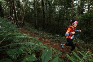 BIB: 
                            <button type="button" onclick="openModal(22582625)" class="btn btn-primary btn-sm float-right btn-popup" data-toggle="modal" data-target=".modal-high-quality">
                        <i class="fas fa-shopping-cart"></i> Add to Cart
                    </button>
                                            <button type="button" onclick="isThisMe(22582625, true)" class="btn btn-success btn-sm float-right btn-popup btn-isme hidden" data-toggle="tooltip" data-placement="bottom" title="นี่คือรูปของคุณใช่ไหม คลิกที่นี่เพื่อเอาเข้าอัลบั้ม">
                        <i class="fas fa-plus"></i> Add to album
                    </button>
                    <button type="button" onclick="isThisMe(22582625, false)" class="btn btn-warning btn-sm float-right btn-popup btn-isnotme hidden">
                        <i class="fas fa-ban"></i> Remove from album
                    </button>