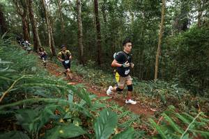 BIB: 
                            <button type="button" onclick="openModal(22570993)" class="btn btn-primary btn-sm float-right btn-popup" data-toggle="modal" data-target=".modal-high-quality">
                        <i class="fas fa-shopping-cart"></i> Add to Cart
                    </button>
                                            <button type="button" onclick="isThisMe(22570993, true)" class="btn btn-success btn-sm float-right btn-popup btn-isme hidden" data-toggle="tooltip" data-placement="bottom" title="นี่คือรูปของคุณใช่ไหม คลิกที่นี่เพื่อเอาเข้าอัลบั้ม">
                        <i class="fas fa-plus"></i> Add to album
                    </button>
                    <button type="button" onclick="isThisMe(22570993, false)" class="btn btn-warning btn-sm float-right btn-popup btn-isnotme hidden">
                        <i class="fas fa-ban"></i> Remove from album
                    </button>