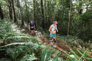 BIB: 
                            <button type="button" onclick="openModal(22562353)" class="btn btn-primary btn-sm float-right btn-popup" data-toggle="modal" data-target=".modal-high-quality">
                        <i class="fas fa-shopping-cart"></i> Add to Cart
                    </button>
                                            <button type="button" onclick="isThisMe(22562353, true)" class="btn btn-success btn-sm float-right btn-popup btn-isme hidden" data-toggle="tooltip" data-placement="bottom" title="นี่คือรูปของคุณใช่ไหม คลิกที่นี่เพื่อเอาเข้าอัลบั้ม">
                        <i class="fas fa-plus"></i> Add to album
                    </button>
                    <button type="button" onclick="isThisMe(22562353, false)" class="btn btn-warning btn-sm float-right btn-popup btn-isnotme hidden">
                        <i class="fas fa-ban"></i> Remove from album
                    </button>