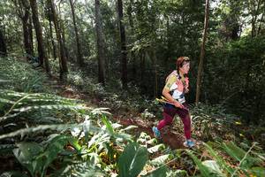 BIB: 
                            <button type="button" onclick="openModal(22543984)" class="btn btn-primary btn-sm float-right btn-popup" data-toggle="modal" data-target=".modal-high-quality">
                        <i class="fas fa-shopping-cart"></i> Add to Cart
                    </button>
                                            <button type="button" onclick="isThisMe(22543984, true)" class="btn btn-success btn-sm float-right btn-popup btn-isme hidden" data-toggle="tooltip" data-placement="bottom" title="นี่คือรูปของคุณใช่ไหม คลิกที่นี่เพื่อเอาเข้าอัลบั้ม">
                        <i class="fas fa-plus"></i> Add to album
                    </button>
                    <button type="button" onclick="isThisMe(22543984, false)" class="btn btn-warning btn-sm float-right btn-popup btn-isnotme hidden">
                        <i class="fas fa-ban"></i> Remove from album
                    </button>